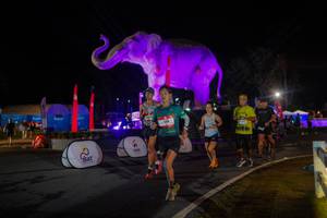 BIB: 
                            <button type="button" onclick="openModal(26552127)" class="btn btn-primary btn-sm float-right btn-popup" data-toggle="modal" data-target=".modal-high-quality">
                        <i class="fas fa-shopping-cart"></i> Add to Cart
                    </button>
                                            <button type="button" onclick="isThisMe(26552127, true)" class="btn btn-success btn-sm float-right btn-popup btn-isme hidden" data-toggle="tooltip" data-placement="bottom" title="นี่คือรูปของคุณใช่ไหม คลิกที่นี่เพื่อเอาเข้าอัลบั้ม">
                        <i class="fas fa-plus"></i> Add to album
                    </button>
                    <button type="button" onclick="isThisMe(26552127, false)" class="btn btn-warning btn-sm float-right btn-popup btn-isnotme hidden">
                        <i class="fas fa-ban"></i> Remove from album
                    </button>